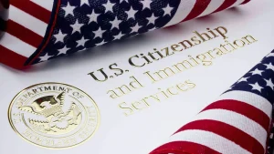 How to respond to USCIS RFE - US immigration flags